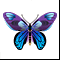 сувенир-Бабочка-
Подарок от Anacondaz
бабочки в моей голове =)))