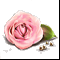 сувенир-Роза с жемчугом-
Подарок от Гетто